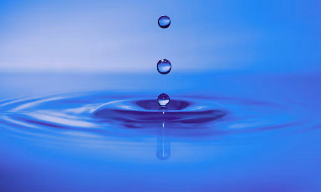 L2FwcC91cGxvYWRzLzIwMjQvMTIvZXRmLXdvZGEucG5n