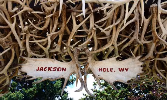 L2FwcC91cGxvYWRzLzIwMjUvMTAvamFja3Nvbi1ob2xlLmpwZw